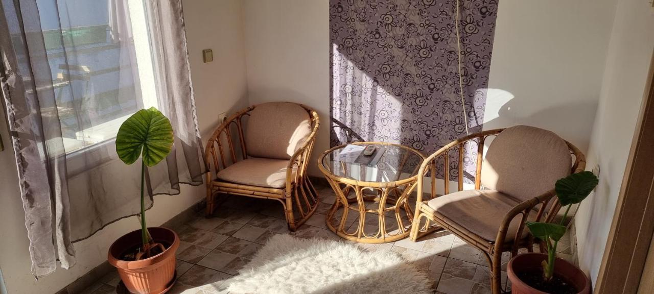Garden Apartments Belgrad Dış mekan fotoğraf